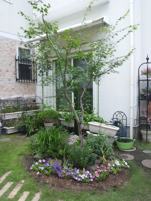 f:id:green-art:20110703114729j:image f:id:green-art:20110703114729j:image