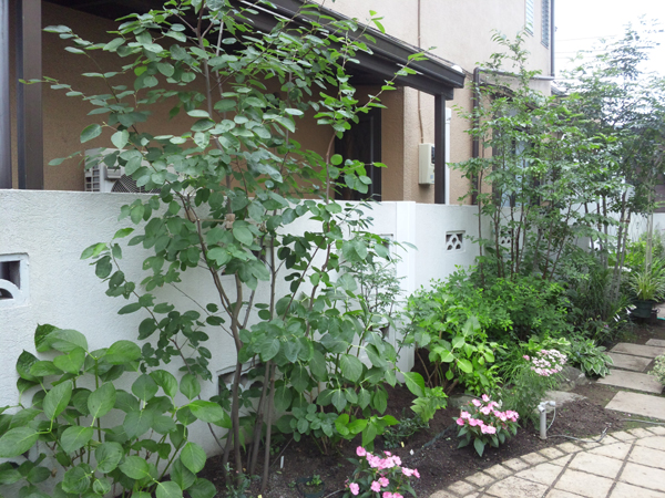 f:id:green-art:20110703114741j:image f:id:green-art:20110703114741j:image