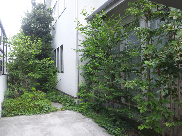 f:id:green-art:20110713084016j:image f:id:green-art:20110713084016j:image