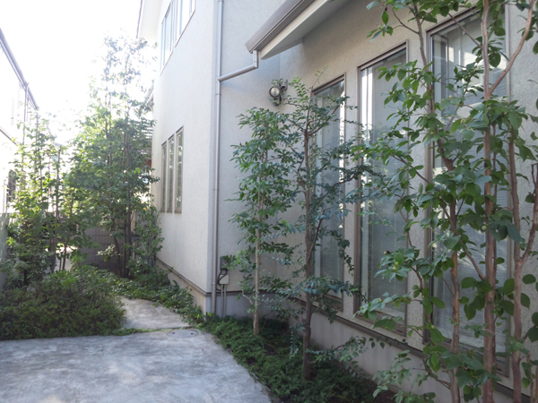f:id:green-art:20110713162742j:image f:id:green-art:20110713162742j:image