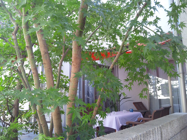 f:id:green-art:20110713163041j:image f:id:green-art:20110713163041j:image