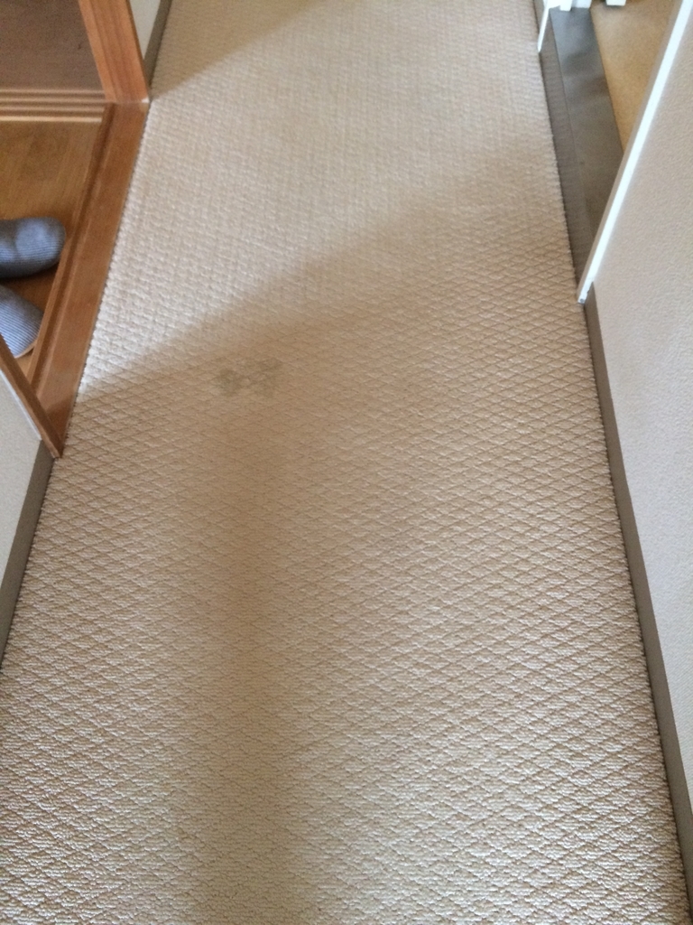 f:id:green-house40:20190308210558j:plain