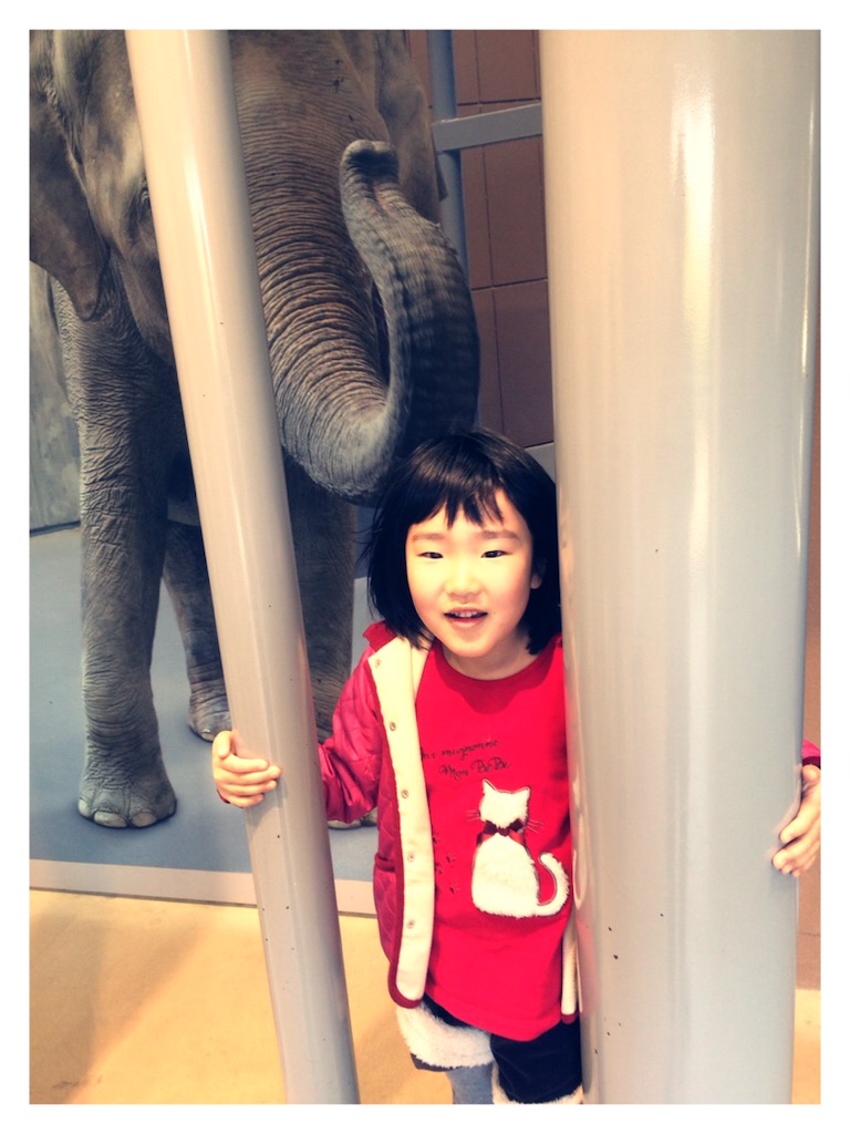 f:id:green-house40:20190323002628j:image