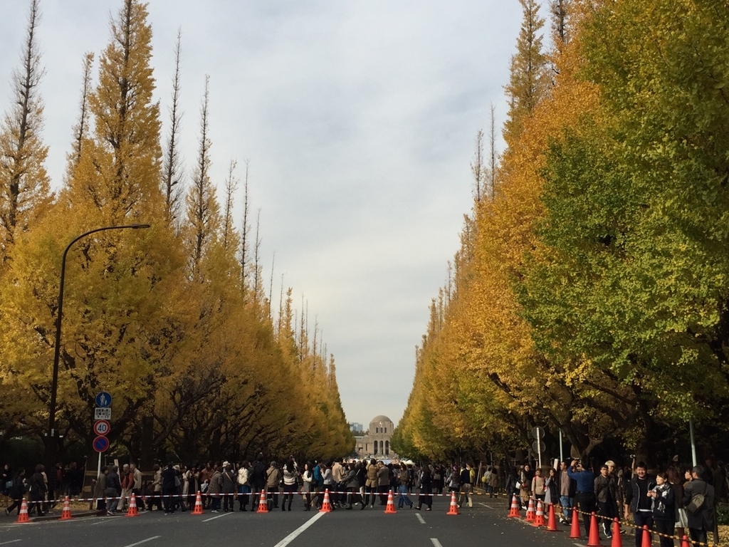 f:id:green-park:20181126164335j:plain f:id:green-park:20181126164335j:plain