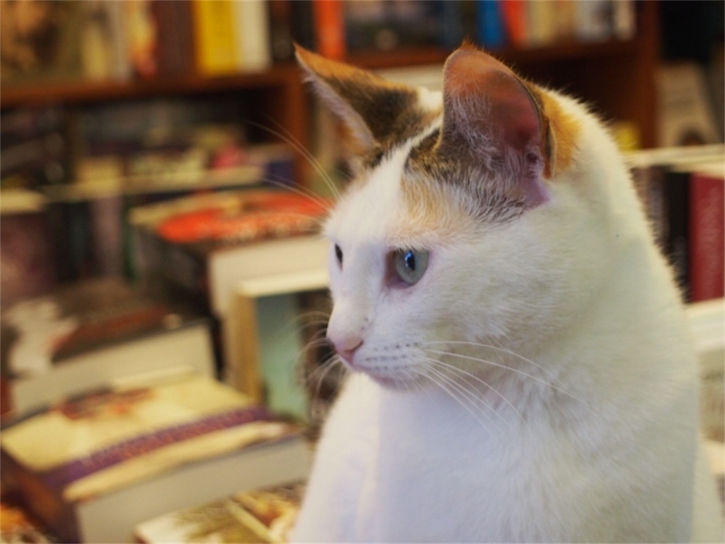 f:id:green-walker-s5s5:20180320150540j:image