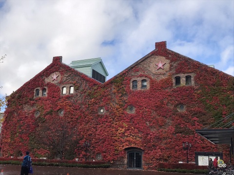 f:id:green015:20181119200101j:plain f:id:green015:20181119200101j:plain