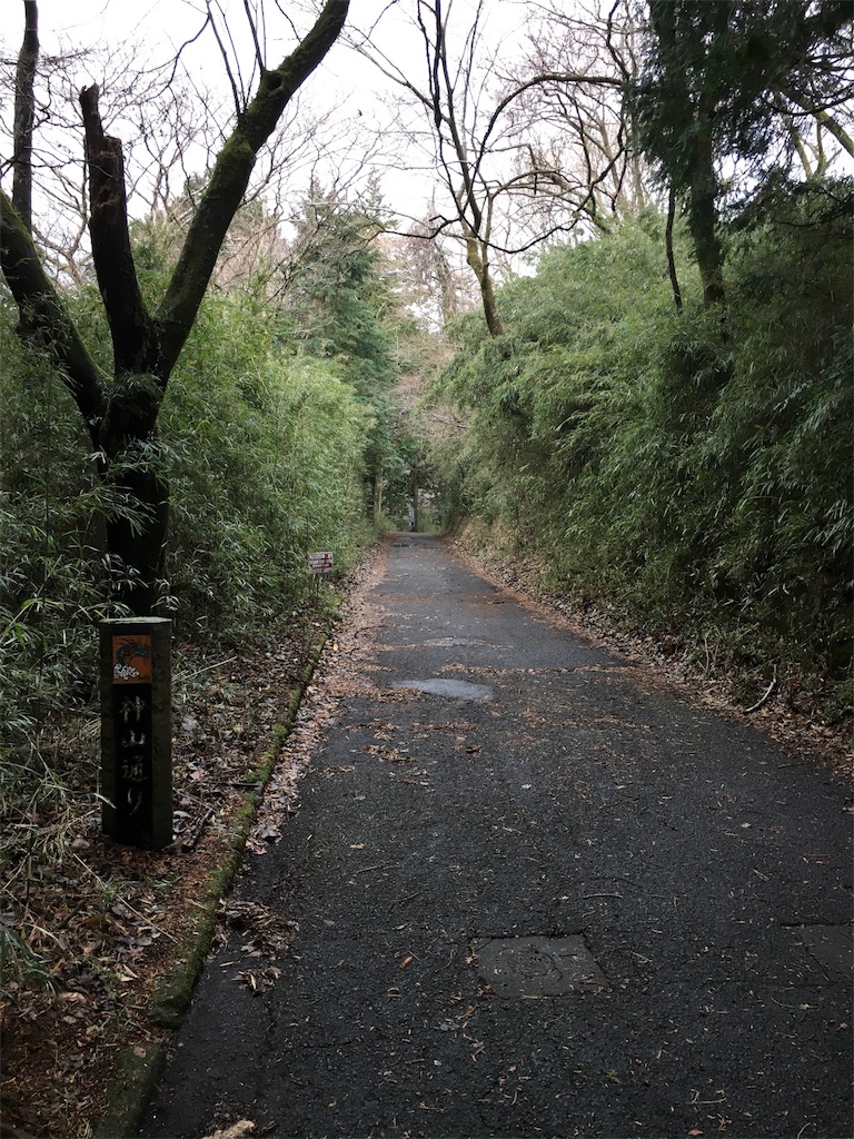 f:id:green1222:20180122212727j:image