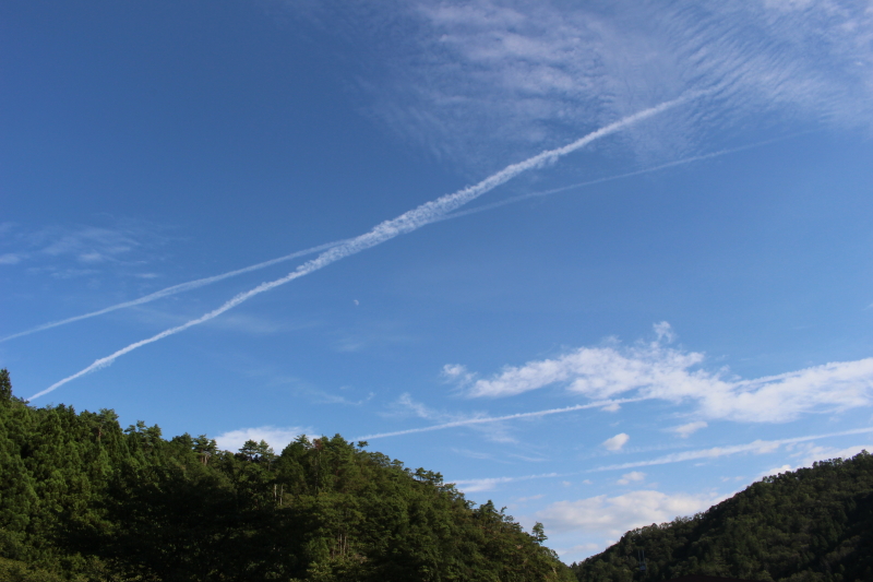 f:id:green335k:20180820154537j:plain f:id:green335k:20180820154537j:plain