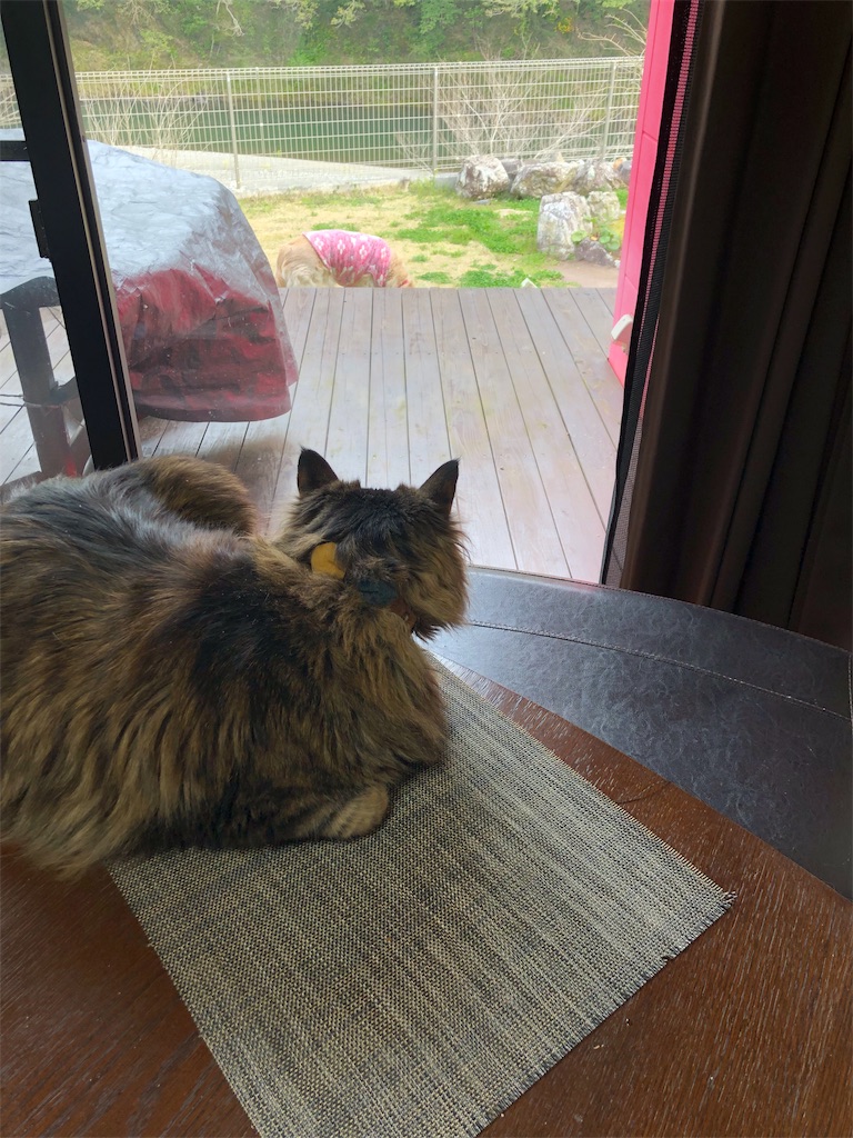 f:id:green3lk:20190325080006j:image f:id:green3lk:20190325080006j:image