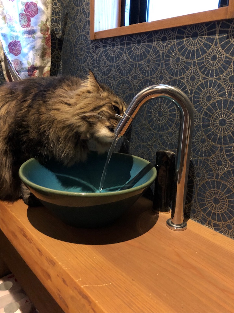 f:id:green3lk:20190411074055j:image