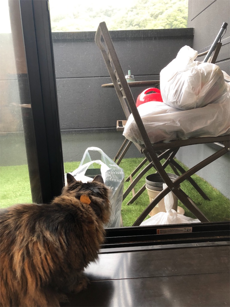 f:id:green3lk:20190424074547j:image