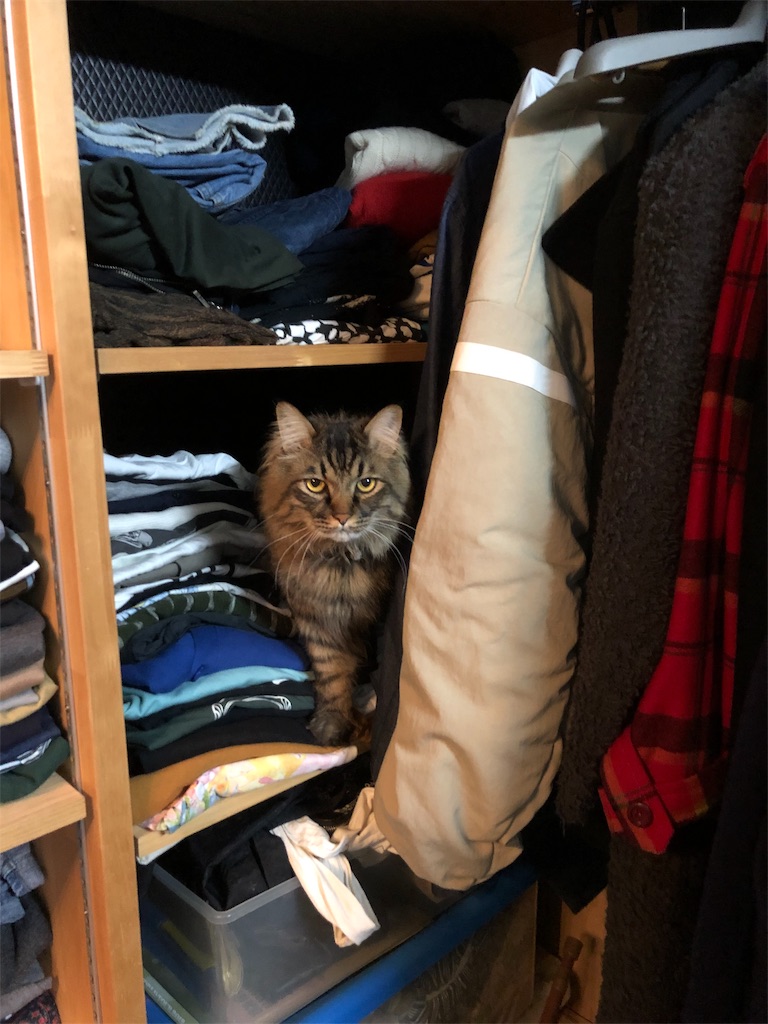 f:id:green3lk:20190529180835j:image