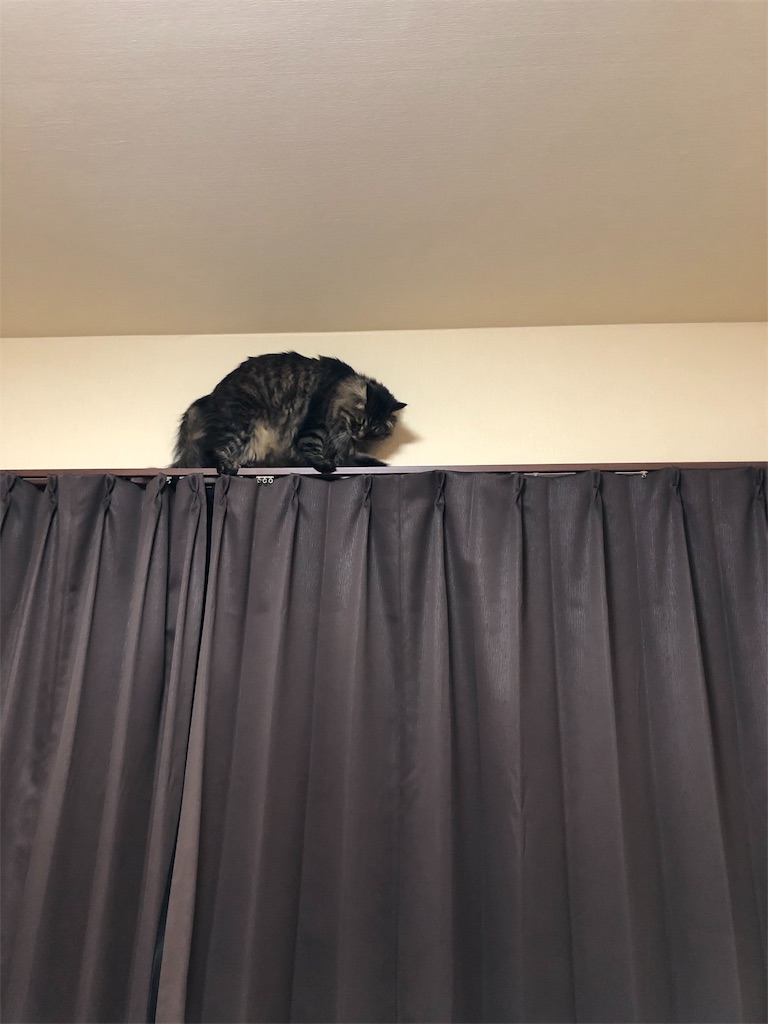 f:id:green3lk:20190529181008j:image