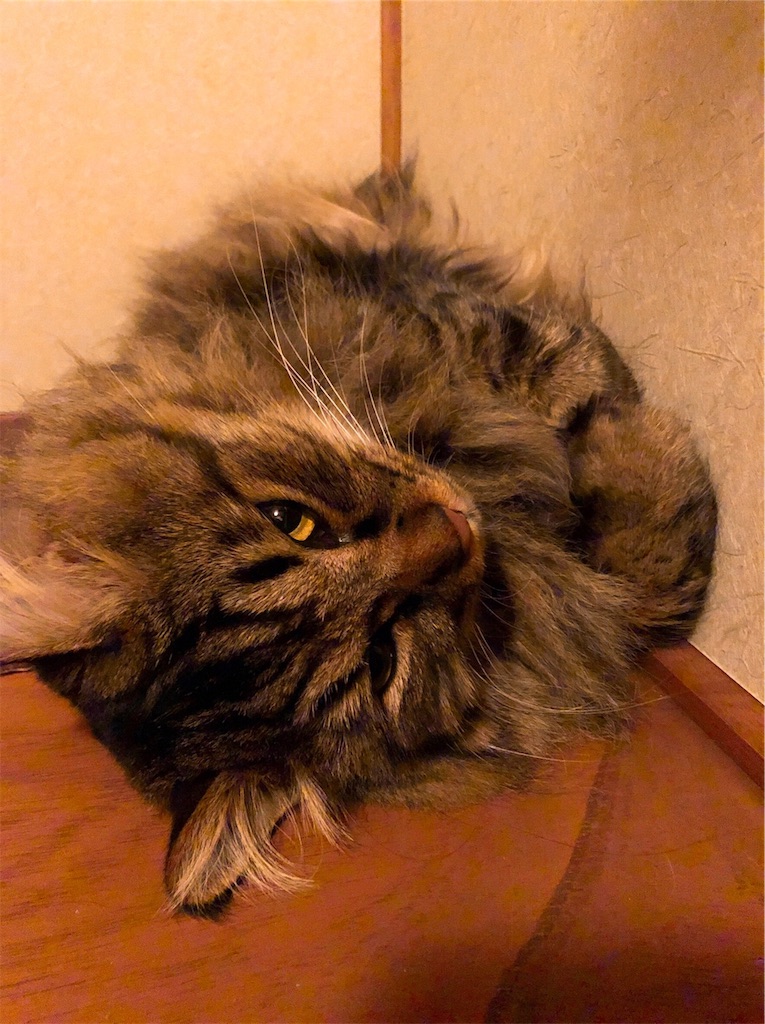 f:id:green3lk:20190606203520j:image
