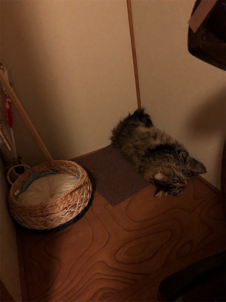 f:id:green3lk:20190606203820j:image