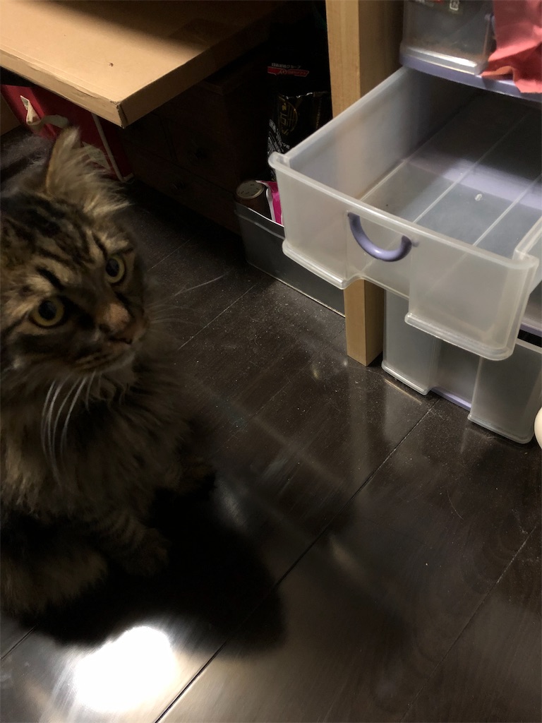 f:id:green3lk:20190704181723j:image