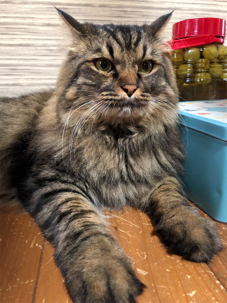 f:id:green3lk:20190721203328j:image