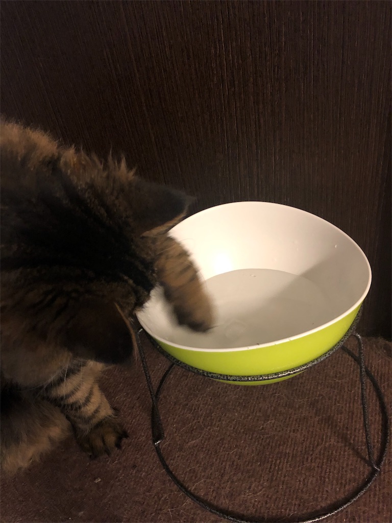 f:id:green3lk:20190801074857j:image f:id:green3lk:20190801074857j:image