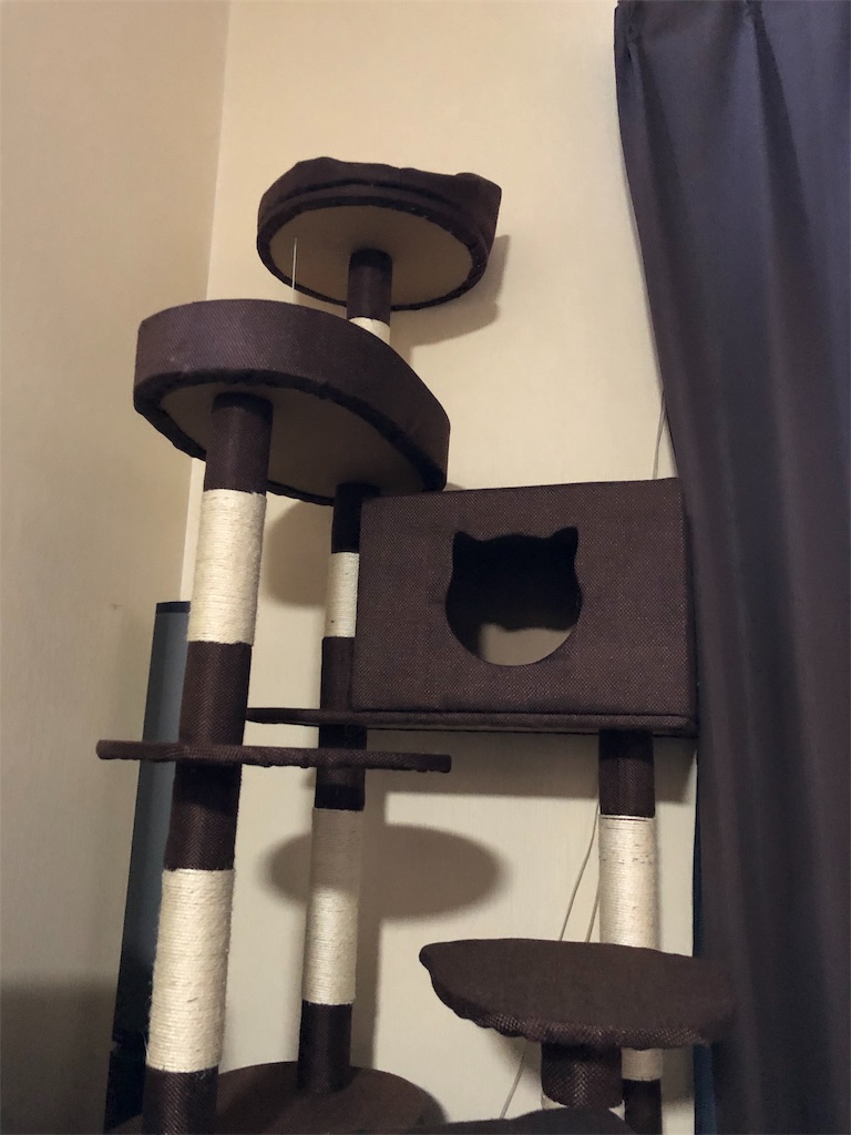 f:id:green3lk:20190810075646j:image