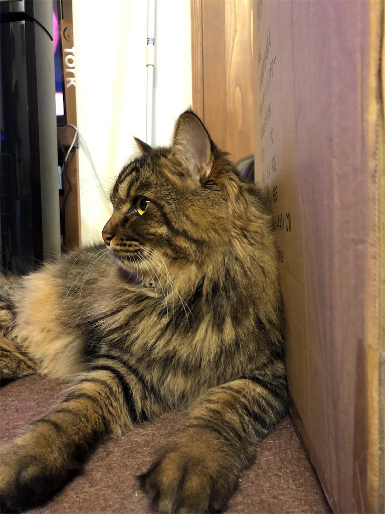 f:id:green3lk:20190810081101j:image
