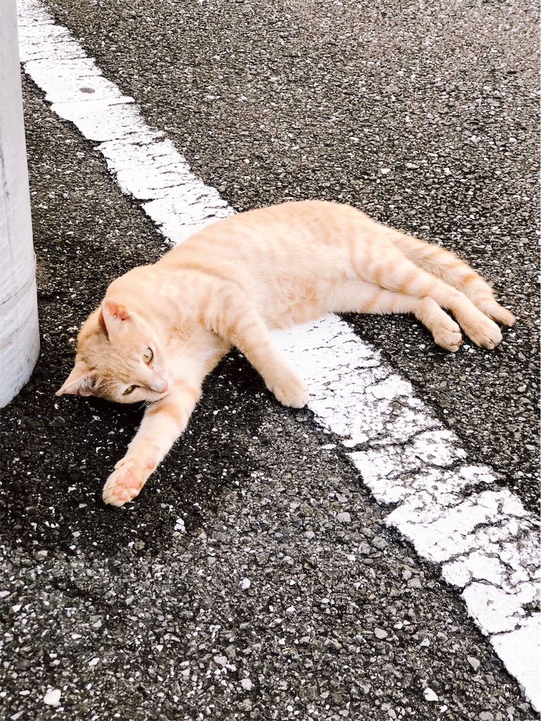 f:id:green3lk:20190812171624j:image