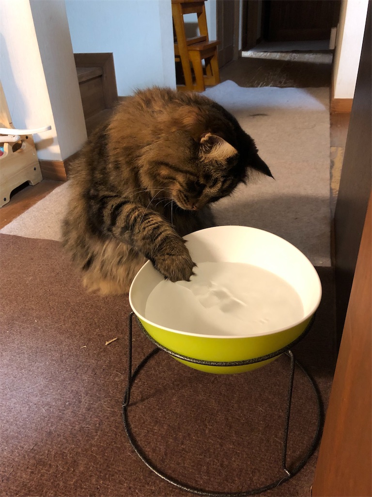 f:id:green3lk:20190818100818j:image f:id:green3lk:20190818100818j:image