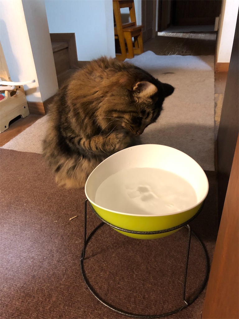f:id:green3lk:20190818100833j:image f:id:green3lk:20190818100833j:image