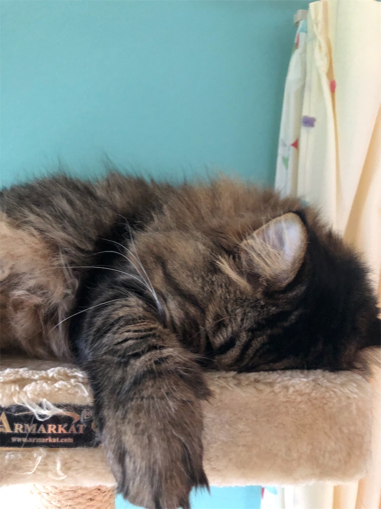 f:id:green3lk:20190824162451j:image