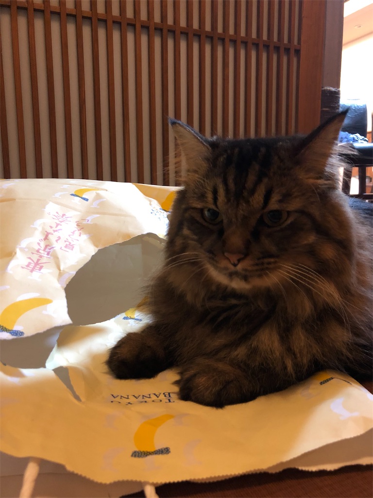 f:id:green3lk:20190828080224j:image