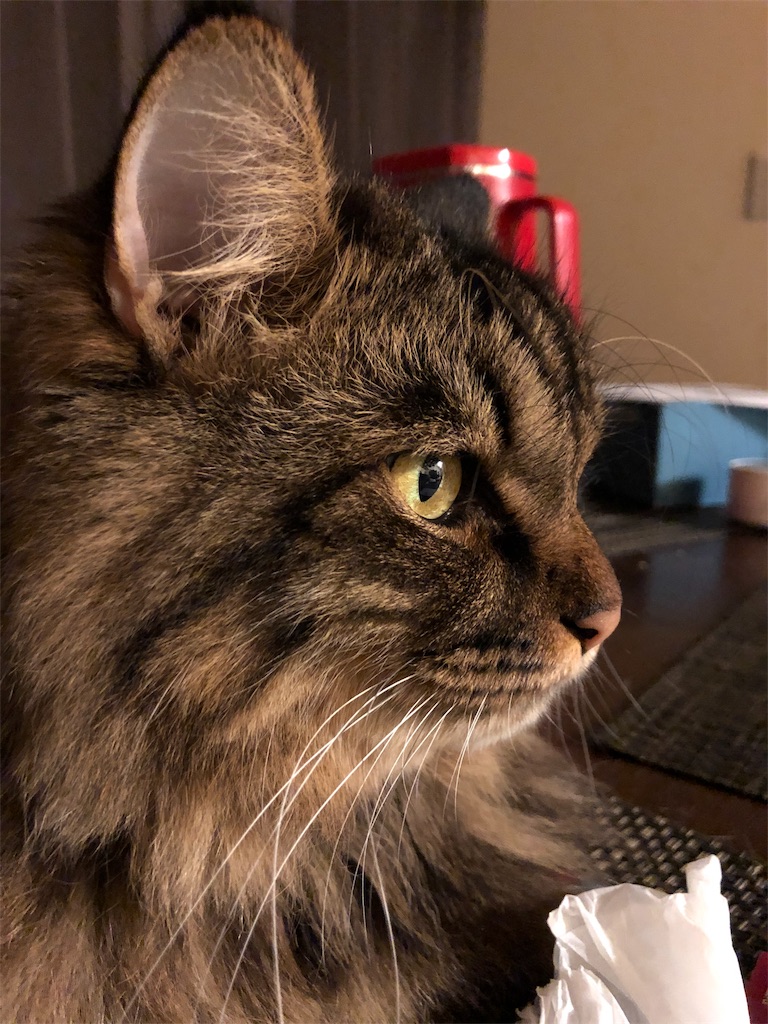 f:id:green3lk:20190915091519j:image