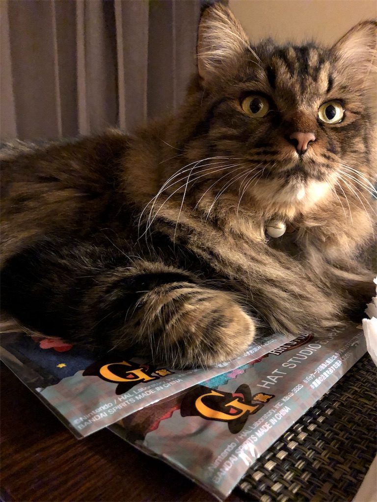 f:id:green3lk:20190915091821j:image