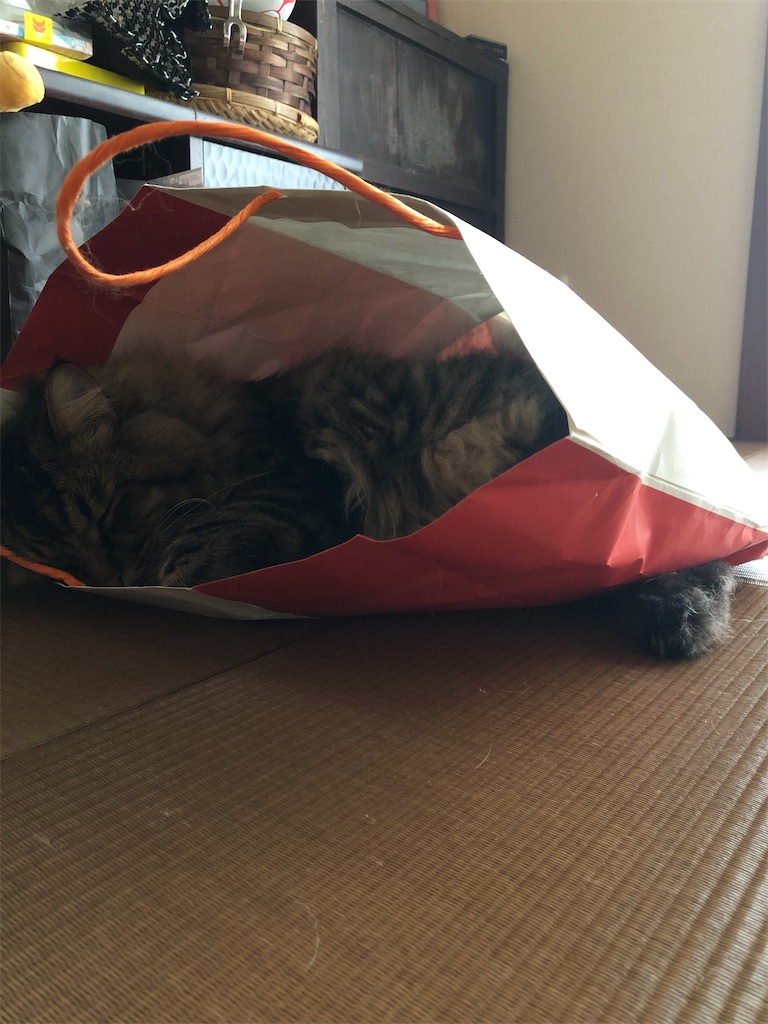 f:id:green3lk:20190926174426j:image