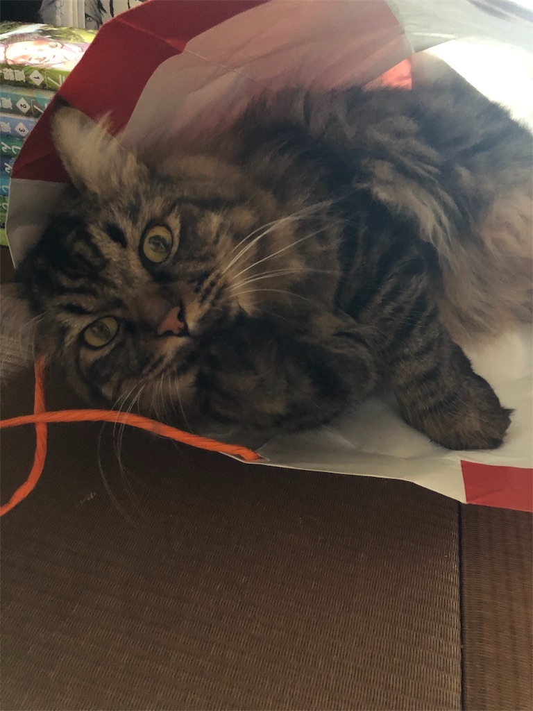 f:id:green3lk:20190926174737j:image