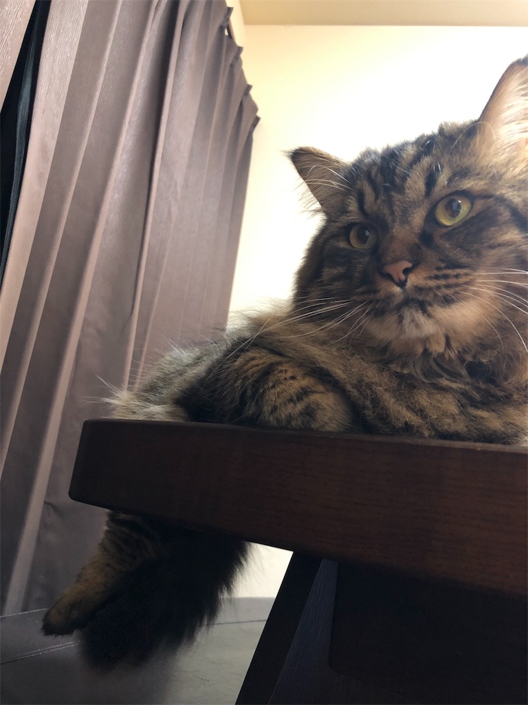 f:id:green3lk:20190927075134j:image