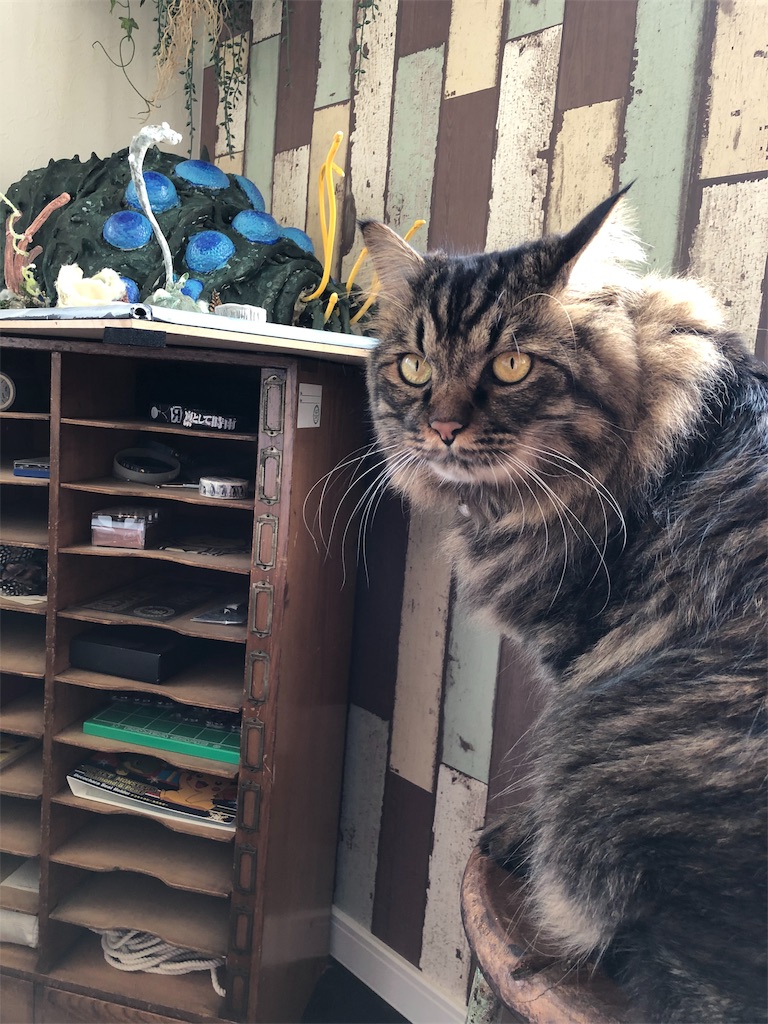 f:id:green3lk:20191027133316j:image