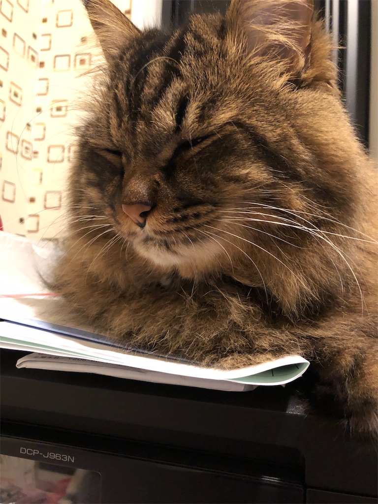 f:id:green3lk:20191111075301j:image