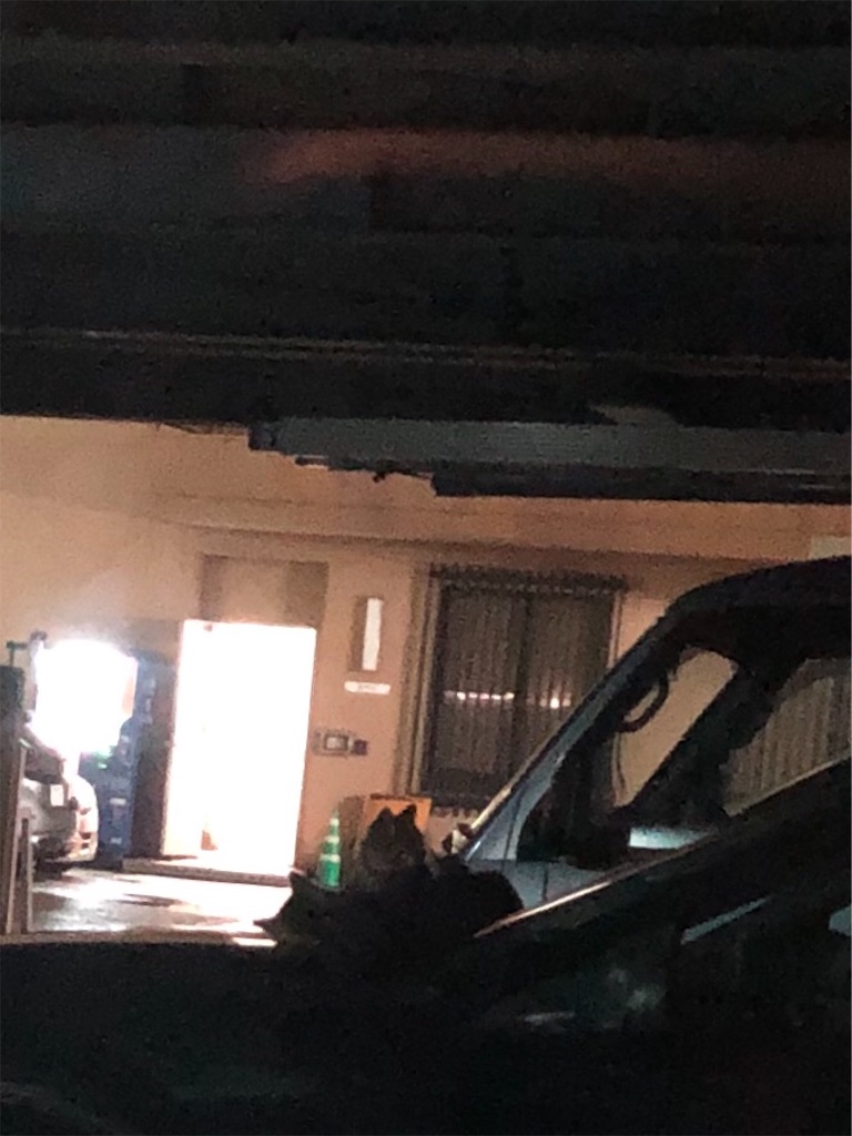 f:id:green3lk:20191118191224j:image f:id:green3lk:20191118191224j:image