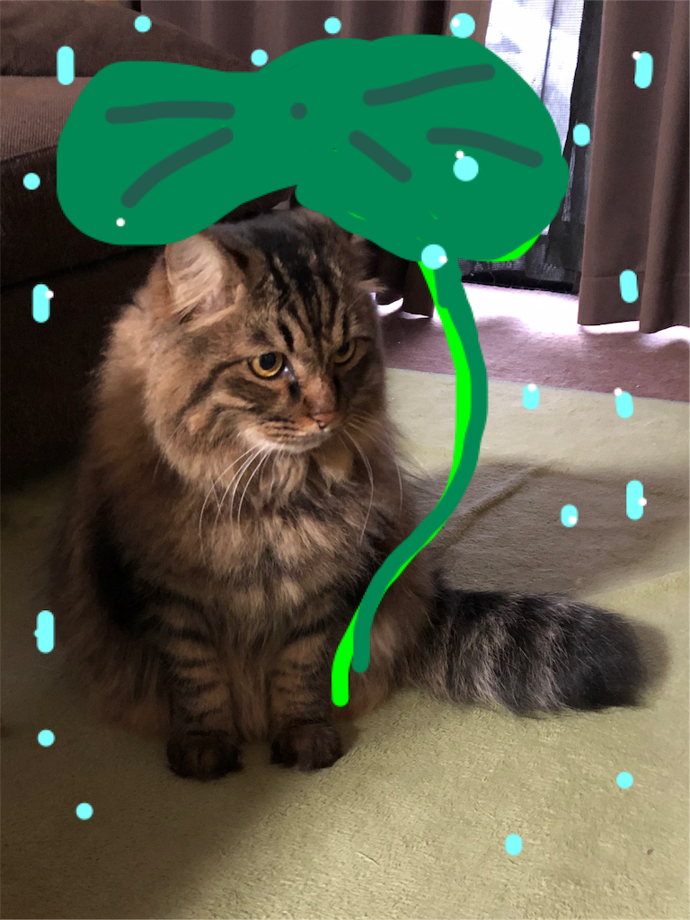 f:id:green3lk:20191130135647p:image