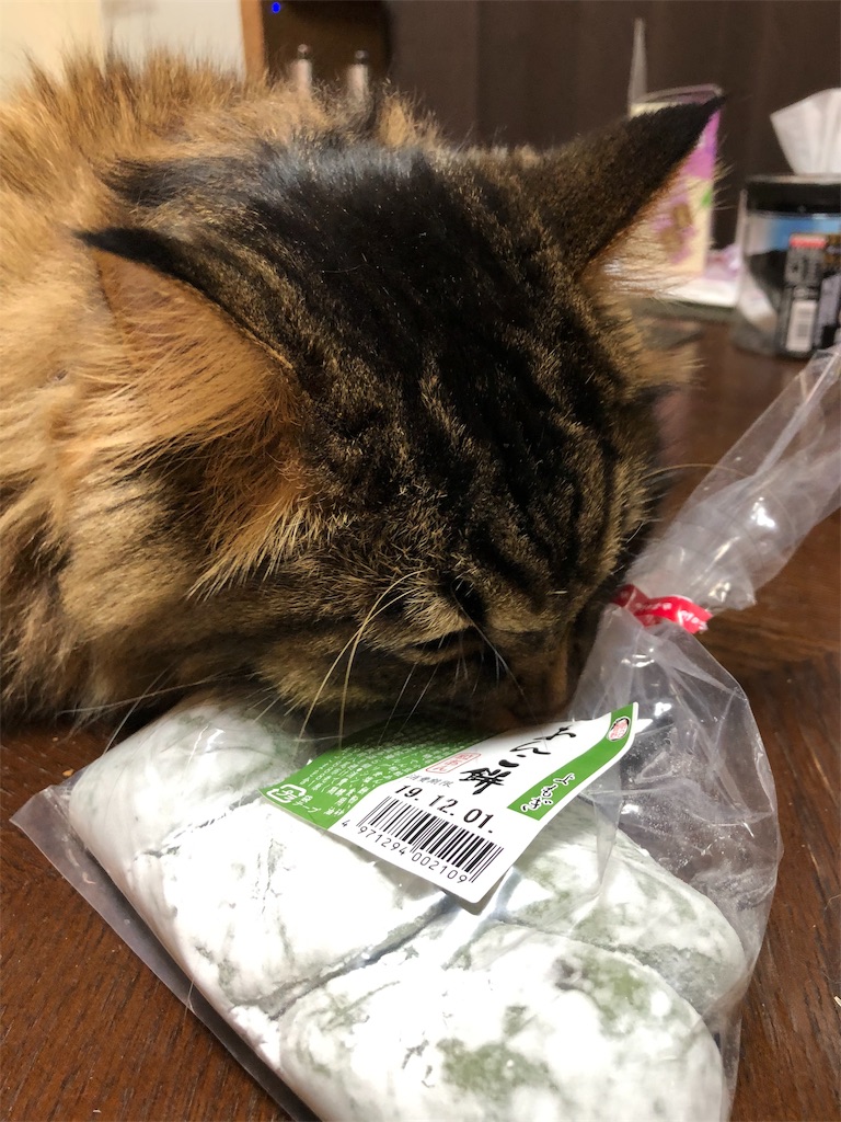 f:id:green3lk:20191130140350j:image