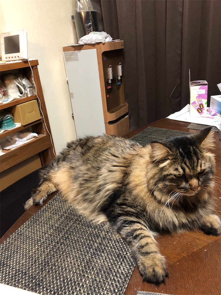 f:id:green3lk:20191130183557j:image