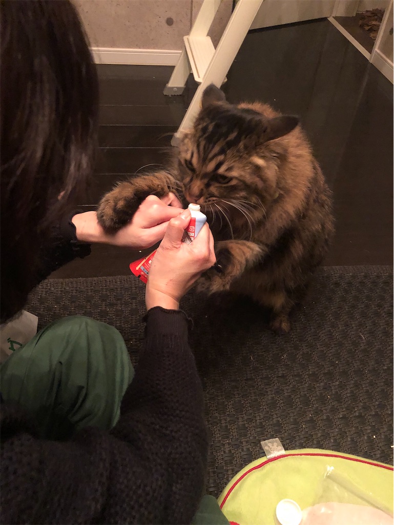 f:id:green3lk:20191204212828j:image