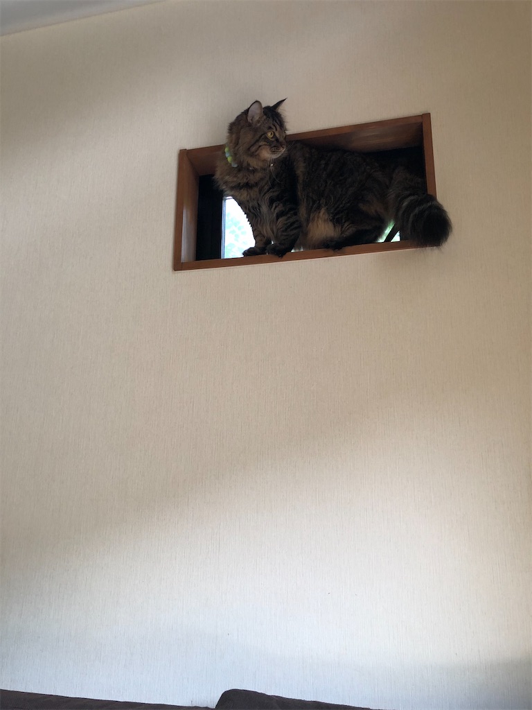 f:id:green3lk:20191227075514j:image