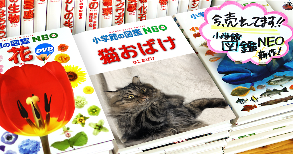 f:id:green3lk:20200119121026p:image f:id:green3lk:20200119121026p:image