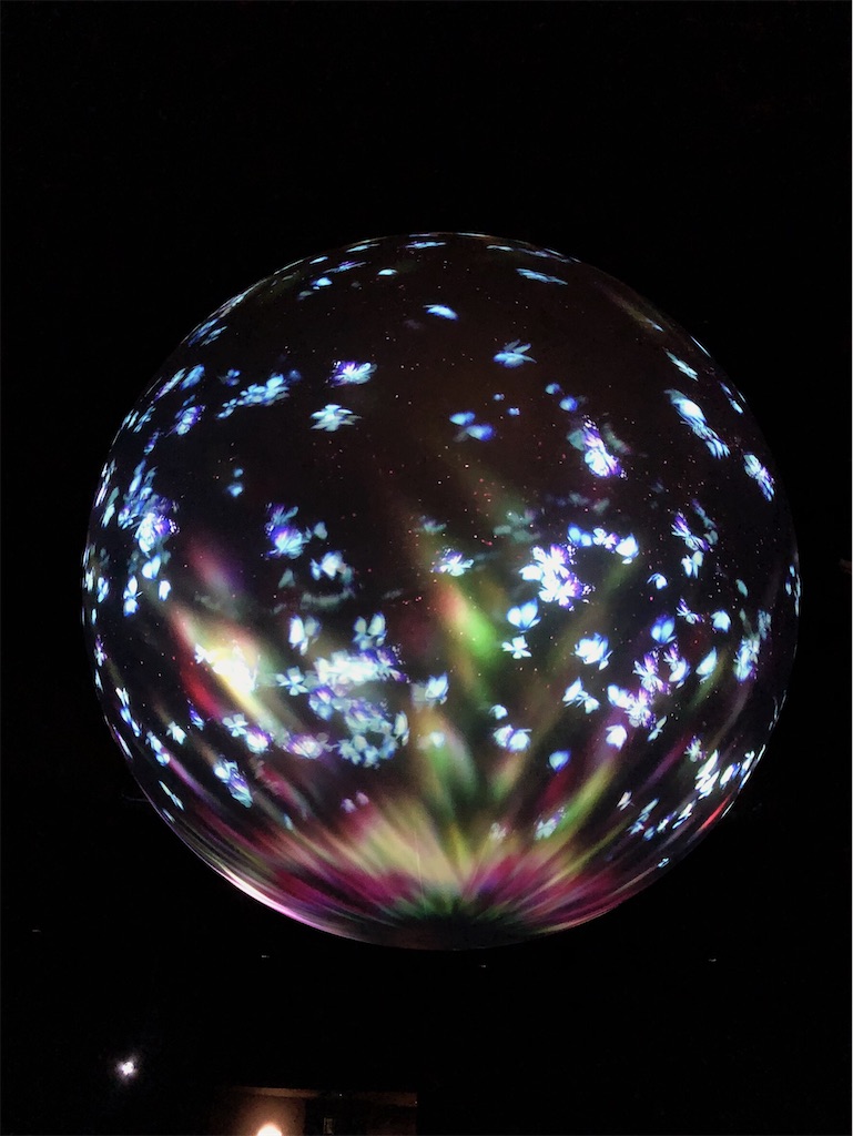 f:id:green3lk:20200204173546j:image f:id:green3lk:20200204173546j:image