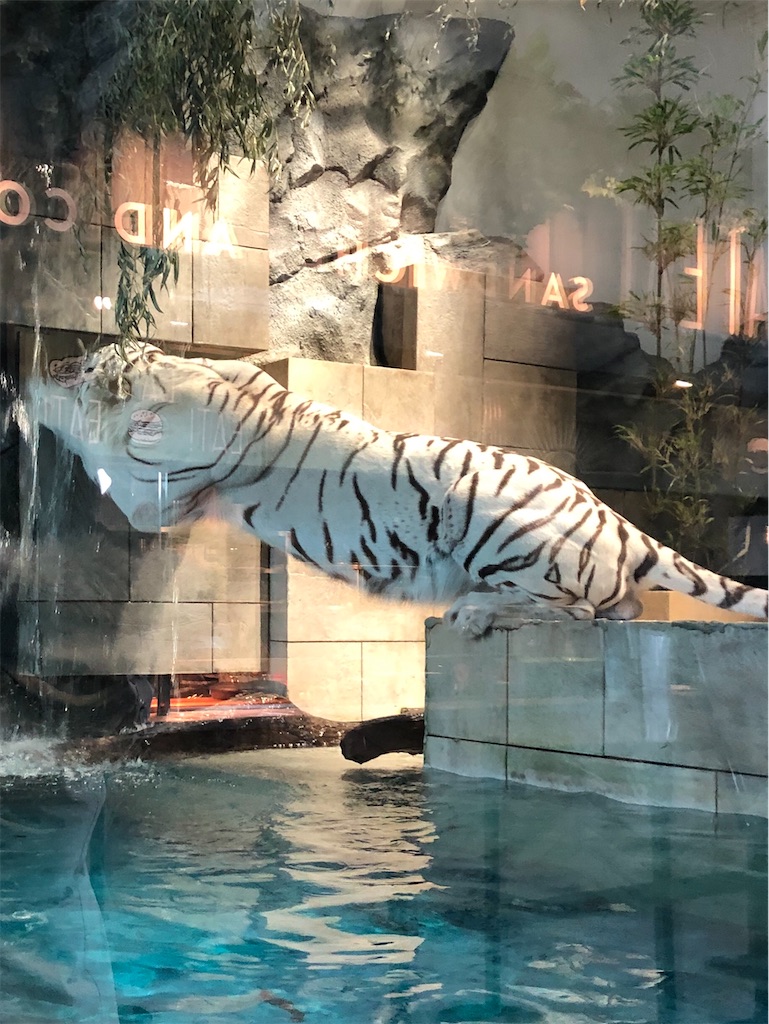 f:id:green3lk:20200204183427j:image