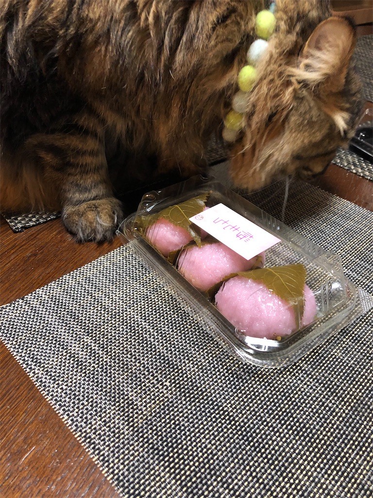 f:id:green3lk:20200314065819j:image