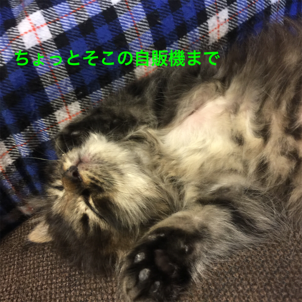 f:id:green3lk:20200324081353p:image