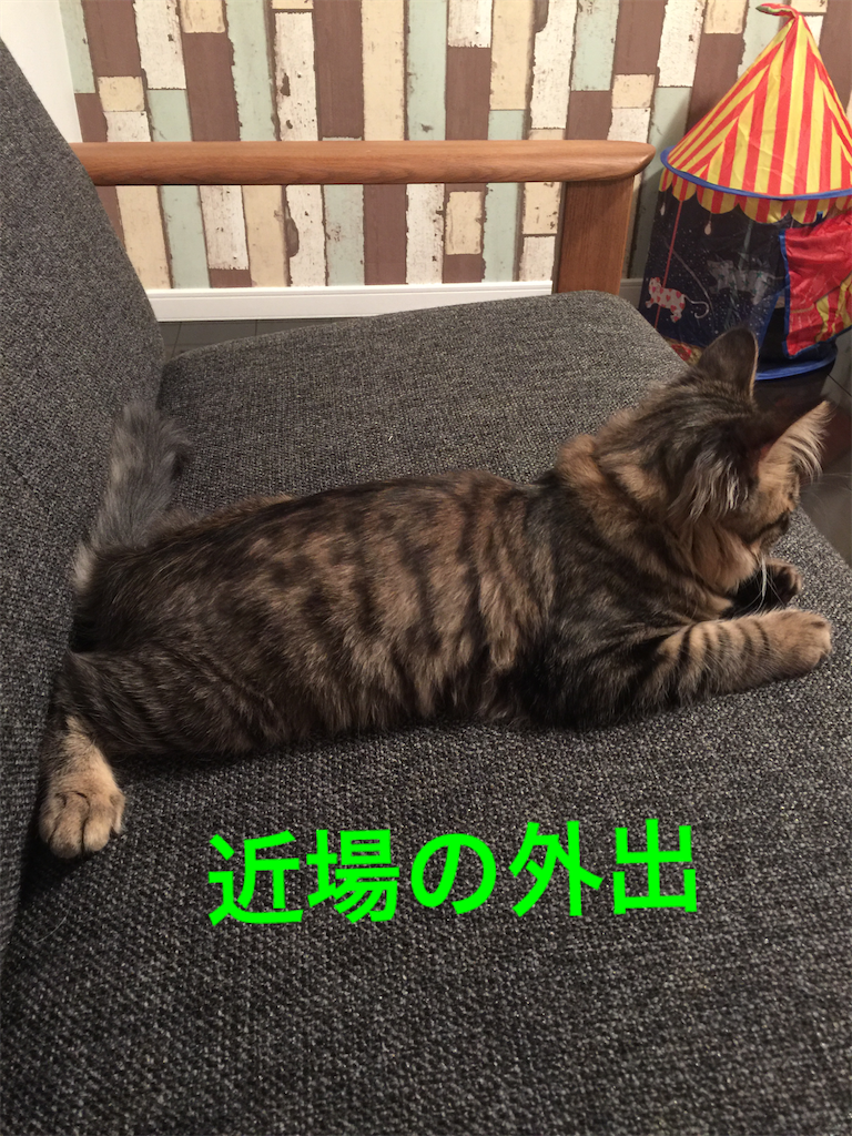 f:id:green3lk:20200324081438p:image