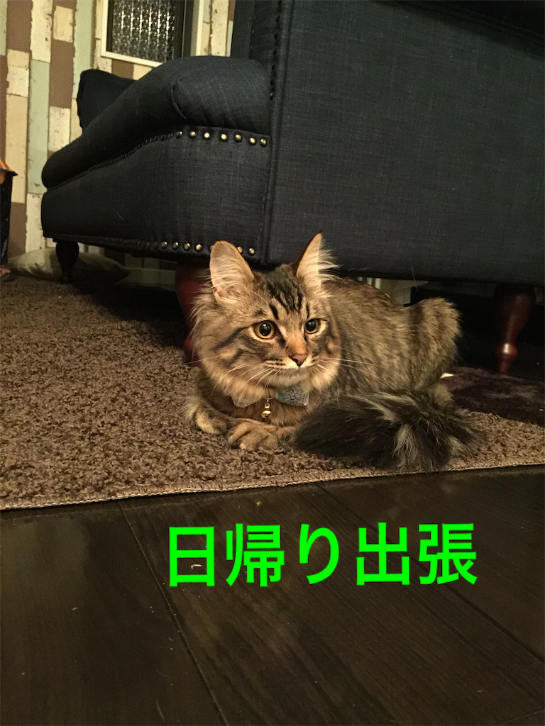 f:id:green3lk:20200324081453p:image