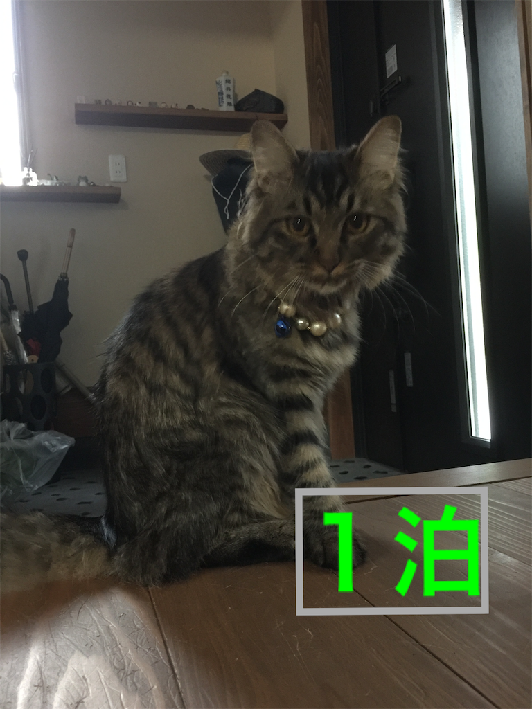 f:id:green3lk:20200324081537p:image